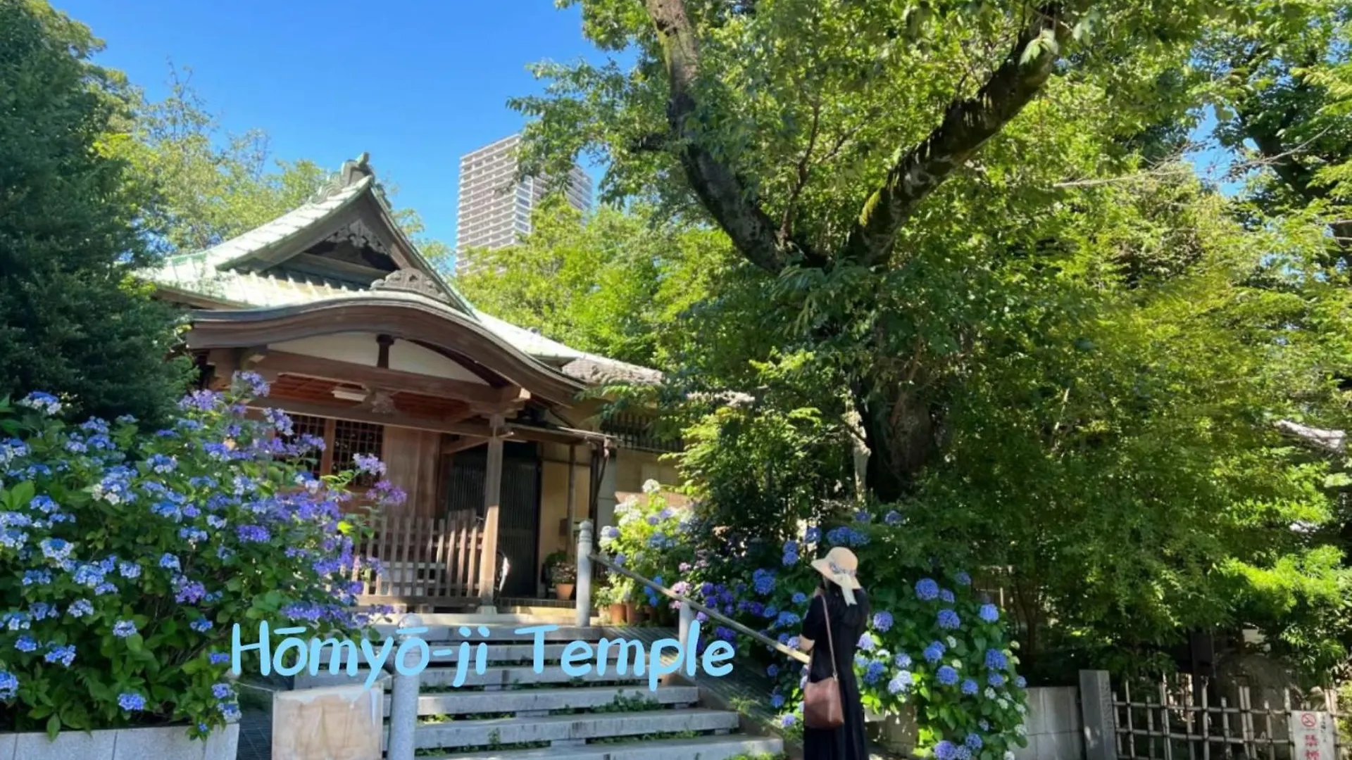 Ikebukuro Three Layers House Kanamecho Stn 5Min Walk Max 12 People 池袋三階车站步行5分独栋最大12人 도쿄